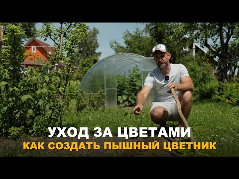 Видео: ОНИ БУДУТ ЦВЕСТИ ДО МОРОЗОВ. Чудо цветник.