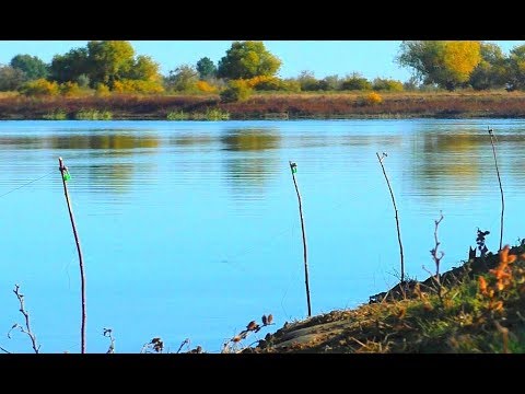 Видео: РЫБАЛКА НА ЗАКИДУШКИ С НОЧЁВКОЙ. СПИННИНГ В ОКТЯБРЕ. РЫБА ВСЯКАЯ ЕСТЬ.