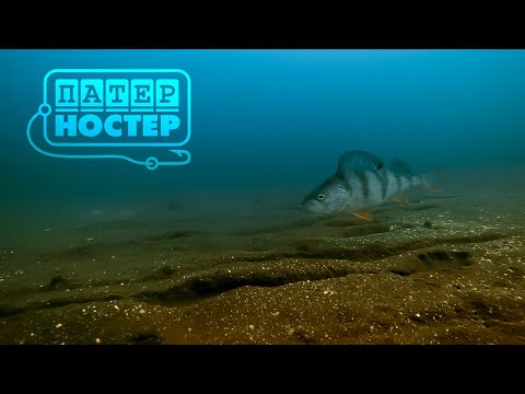 Видео: Подводный фидер 2. Ловля на илу. Патерностер. Серия 13. Underwater Feeder Fishing.