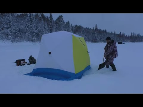 Видео: РЫБАЛКА на ТАЕЖНОМ ОЗЕРЕ / Вот ЭТО клев!!! / КОНКУРС