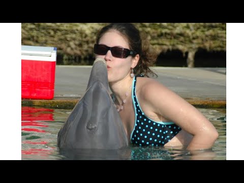 Видео: АСМР Про дельфина🦈Познавательные рассказы о животных шёпотом 🧚‍♂️