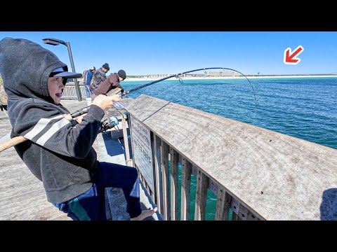 Видео: Рыбачил под этим пирсом в заливе и поймал САМОГО БОЛЬШОГО! *Новый личный рекорд*