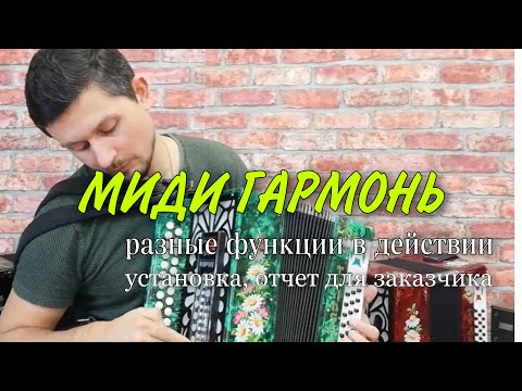 Видео: Миди гармонь Установка отчет Цена