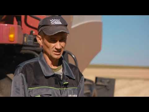 Видео: ФЕРМЕРЫ КУРМАНАЕВСКОГО РАЙОНА ОРЕНБУРЖЬЯ