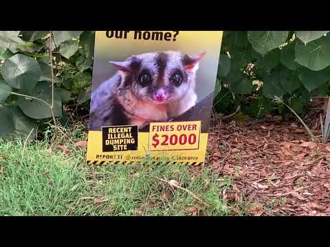 Видео: СТРАННЫЕ САДОВОДЫ, КОРМЛЮ УТЯ, НА ПРОГУЛКУ!