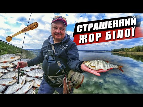 Видео: Найкращий час для наноджигу! Жор червонопірки та плітки - як легко наловити на спінінг?