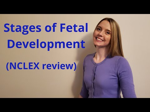 Видео: ЭТАПЫ РАЗВИТИЯ ПЛОДА | ОБЗОР NCLEX