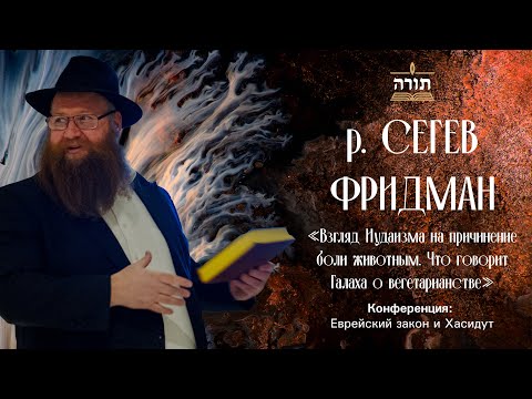 Видео: р. Сегев Фридман — Взгляд Иудаизма на причинение боли животным. Что говорит Галаха о вегетарианстве?