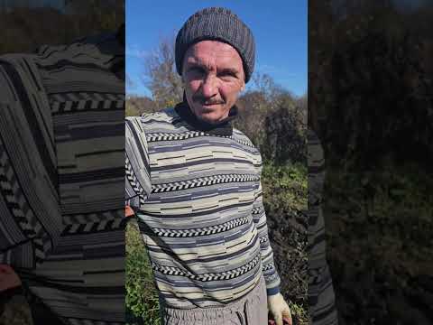 Видео: Наш день 1 ноября 2025