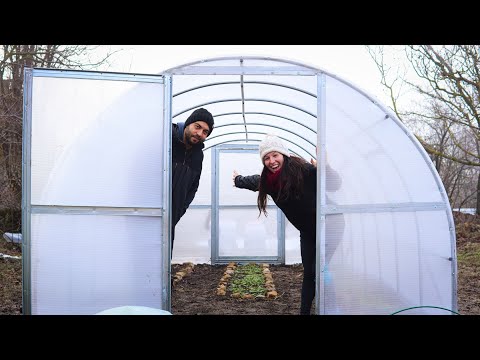 Видео: Направихме си оранжерия  сами ♥ | ЖИВОТ НА СЕЛО | Boho Soulz