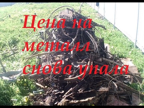 Видео: Цена на металл снова упала: будем копить до лучших времен