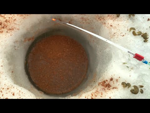 Видео: ДУРЕЮ ОТ ЭТОЙ РЫБАЛКИ...КРУПНЯК СРАЗУ на чудо-удочку! Рыбалка 2025