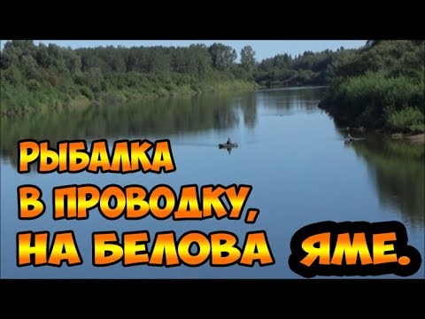 Видео: Рыбалка в проводку, на Белова яме
