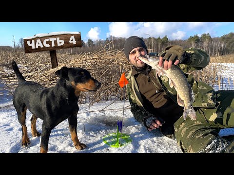 Видео: Рыбалка на жерлицы и кружки. [Часть-4] На пруду где строю лесной дом