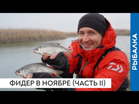 Видео: Рыбалка на фидер в ноябре. Клюнет? или пора доставать спиннинг?