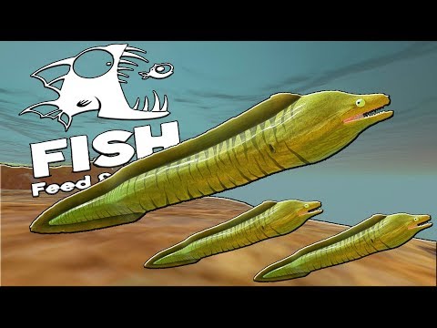 Видео: ЗЕЛЕНАЯ МУРЕНА АТАКУЕТ, ОБНОВЛЕНИЕ | Feed and Grow Fish