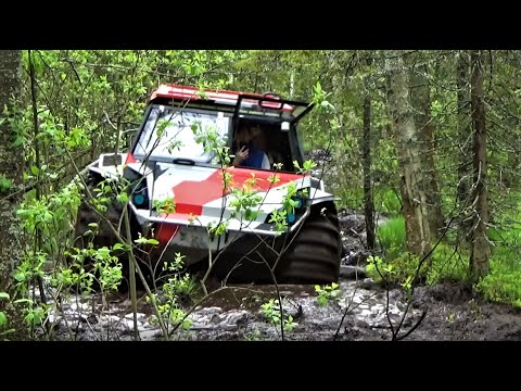 Видео: Самоизоляция заканчивается