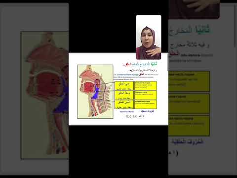 Видео: 2-МАХРАДЖ САБАҒЫ Әл Халқ (тамақ)