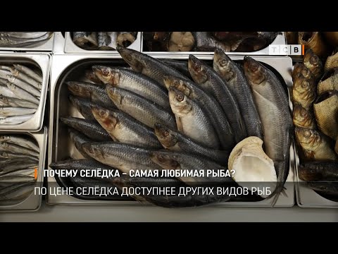 Видео: Почему селёдка – самая любимая рыба?