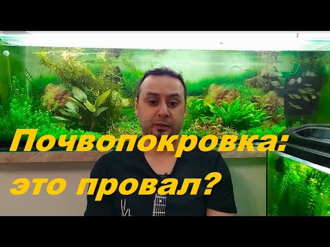 Видео: Игры с почвопокровкой