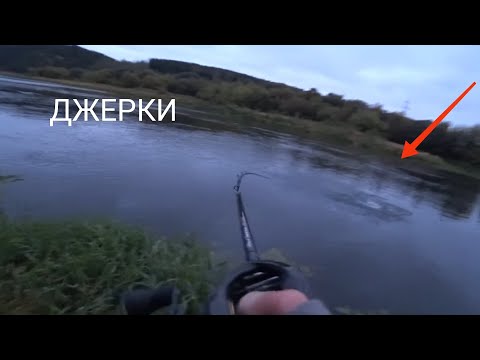 Видео: ЩУКА на ДЖЕРКИ!!! Первый трофей!!
