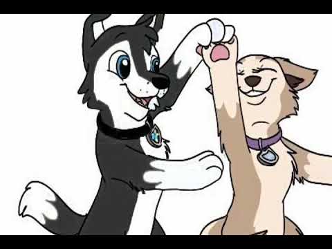 Видео: Самое романтическое видео о Алане и Тундре