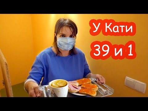 Видео: VLOG Шоппинг в зоомагазине и Эпицентре. У Кати 39 и 1
