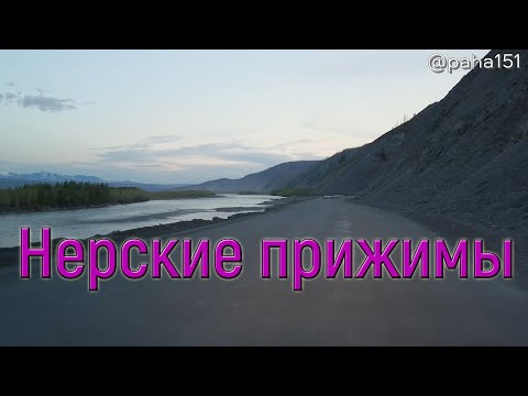 Видео: НЕРСКИЕ ПРИЖИМЫ – УСТЬ-НЕРА // Трасса "Колыма" Р-504 // Едем в Находку 2024 серия №4