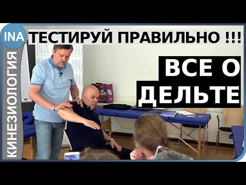Видео: Мышечное тестирование. Все о дельте. Прикладная кинезиология.