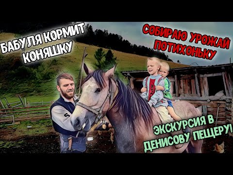 Видео: Солим с бабулей грибы🍄 Снимаю с грядок капусту🥦 Съездили на экскурсию🏔