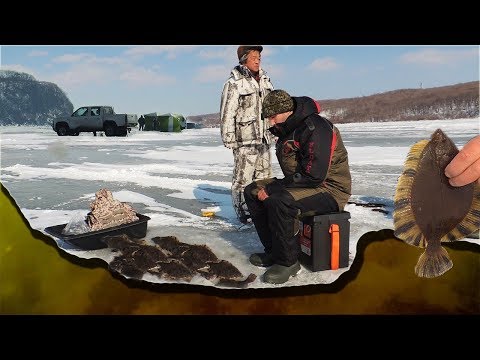 Видео: Рыбалка на поплавок. Рыбы столько что дно шевелится!