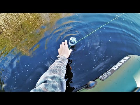 Видео: Ловля СОМА на бутылки! Ночные проверки каждый час! Эта снасть ловит всегда!
