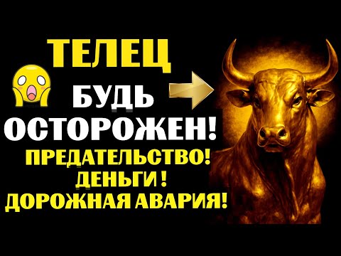Видео: Телец🐂: Неожиданные деньги, авария на дороге и предательство, 😱которое меняет ВСЕ!