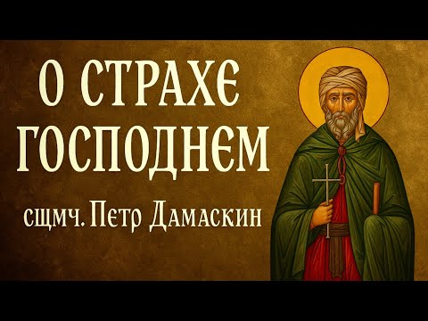 Видео: О СТРАХЕ ГОСПОДНЕМ | сщмч. Петр Дамаскин
