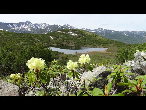 Видео: Неудачная вылазка к оз. Аргукан.