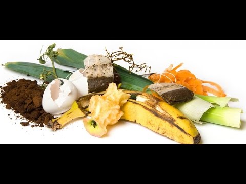 Видео: Дендробена и органические отходы. Вермикомпост. Биогумус