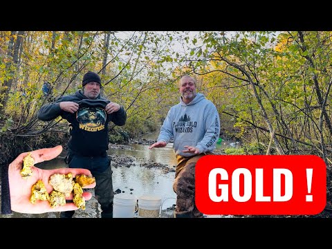 Видео: ЗОЛОТО (деньги) ВЕЗДЕ ВАС ВКУСНО!