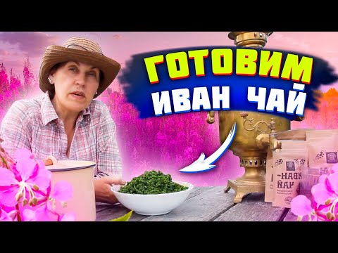 Видео: Готовим иван чай без навыка и опыта. Как мы с Михаилом Семейная ферма в деревне Иван чай готовили.