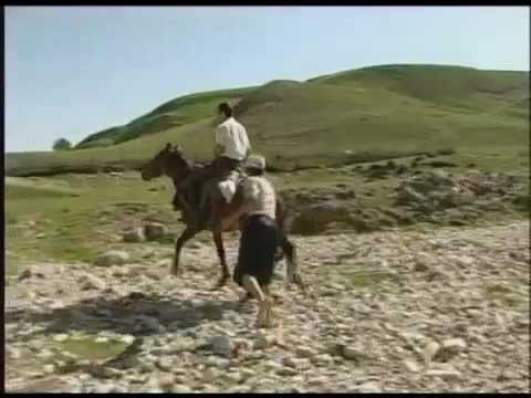 Видео: Кусары , короткометражный фильм