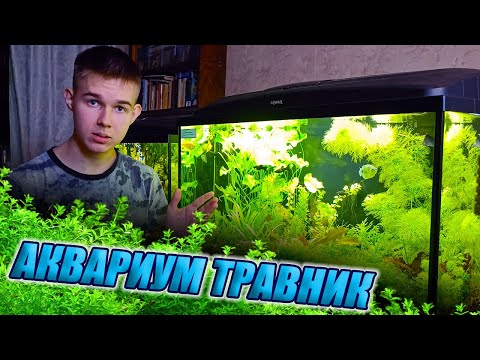 Видео: Самый простой аквариум травник без со2 и удо