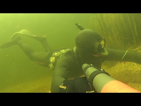 Видео: Подводная охота перед запретом