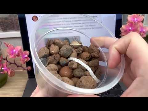 Видео: гниют корни орхидей 2 ГЛАВНЫЕ ПРИЧИНЫ : орхидеи в керамзите на фитильном поливе