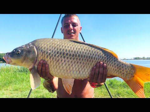 Видео: Трофейни Шарани през есента на яз. ''Борец''_1 - ва част_digitalstudiobg