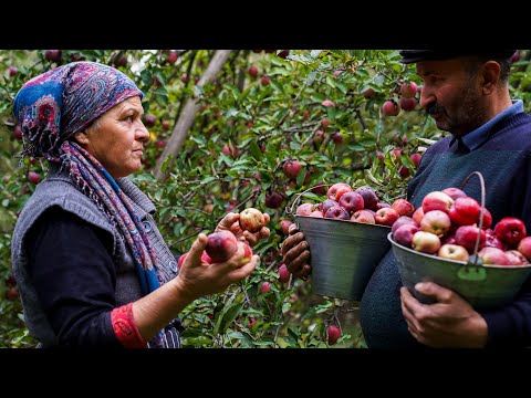 Видео: 🍏 Домашнее Яблочное Павидло: Сладкий Деревенский Рецепт 🍯🍂