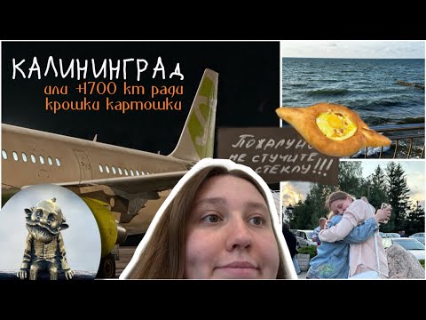 Видео: ВЛОГ ИЗ КАЛИНИНГРАДА// 🚨Чилл и кадры без особого смысла, котики и хинкали🚨