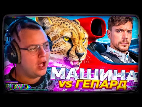 Видео: Пятёрка смотрит Мистер Бист | Самая Быстрая Машина в Мире vs Гепард!