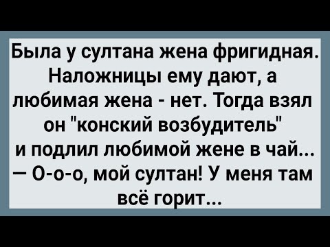 Видео: Как Жена Султану Не Давала! Сборник Свежих Анекдотов! Юмор!