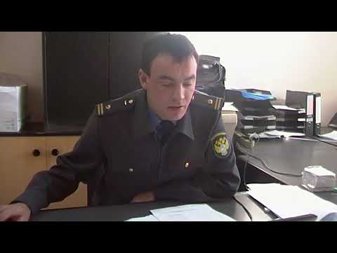 Видео: Как подключив структуры можно бороться с конкурентами