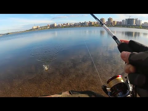 Видео: Поставил отводной поводок и не прогадал! Поклевки одна за другой!