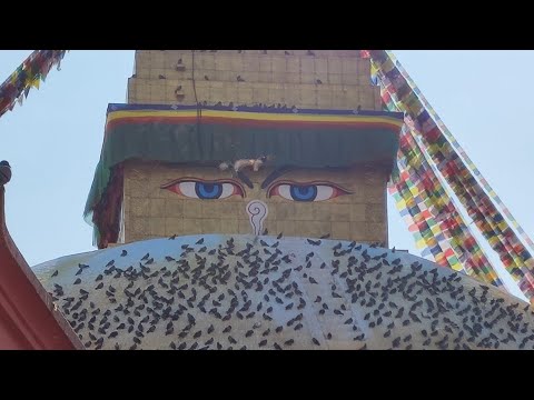 Видео: 7. Моё первое путешествие в Непал, Катманду. БОДНАТХ, ВЕЛИЧАЙШАЯ БУДДИЙСКАЯ СТУПА В МИРЕ.